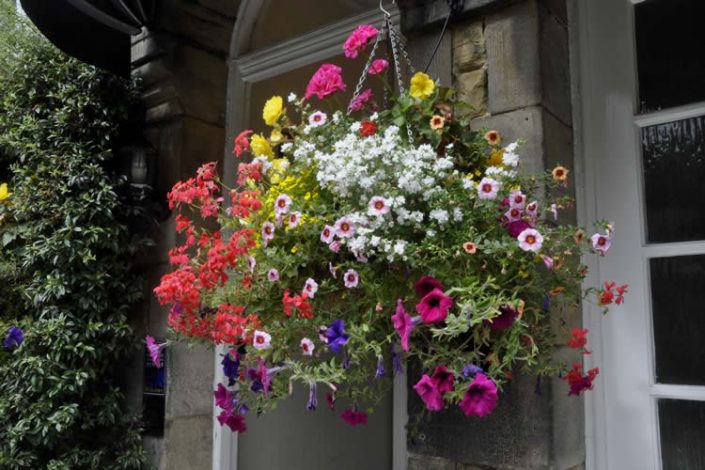 Arden House B&B Harrogate